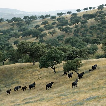 فندق El Anadio Vilches المظهر الخارجي الصورة