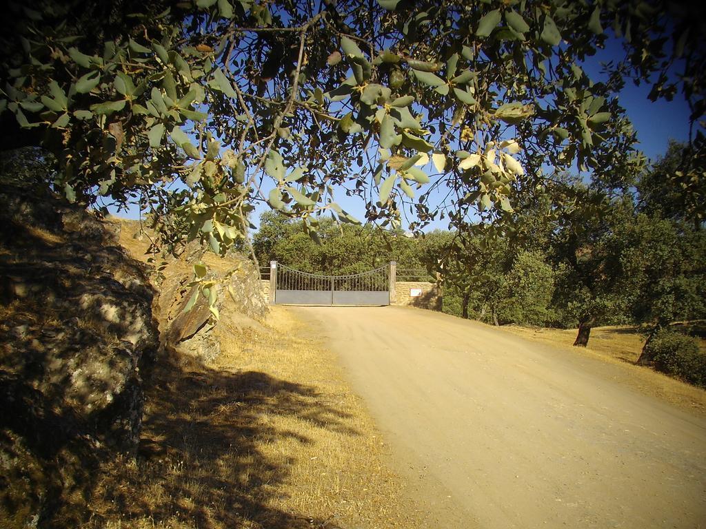 فندق El Anadio Vilches المظهر الخارجي الصورة